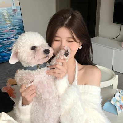 胡桃夹子和四个王国